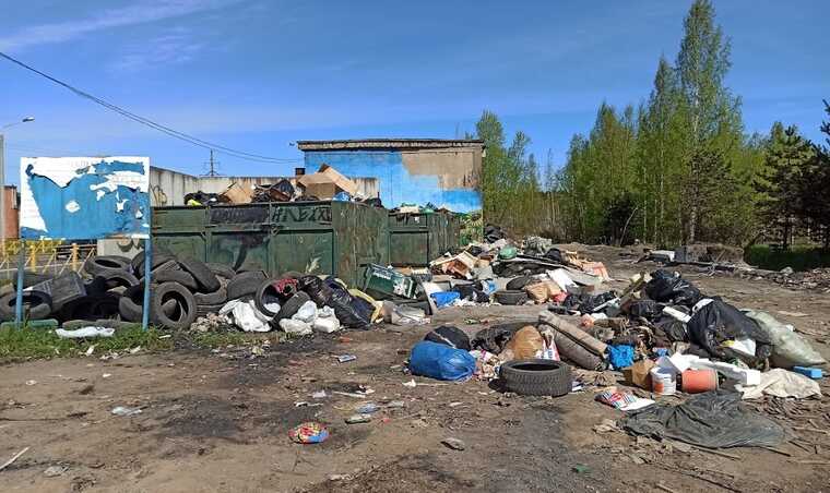 Разбор следов «Тропиканки»: Расчистка свалки в Токмаковском овраге обойдётся бюджету в 19 миллионов рублей