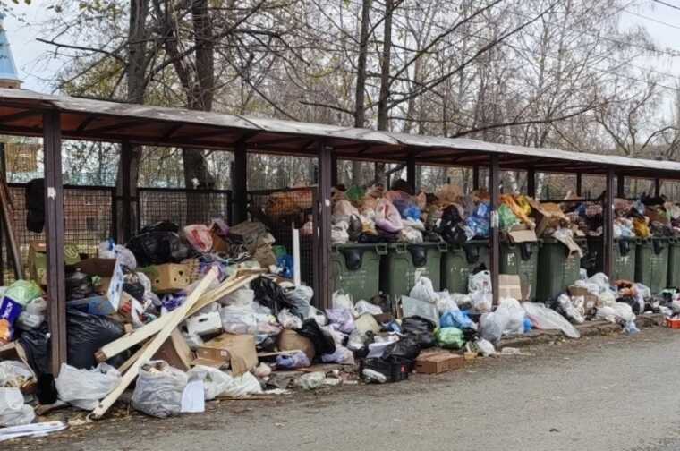 Самара на грани мусорного коллапса: горожане требуют ввести режим ЧС